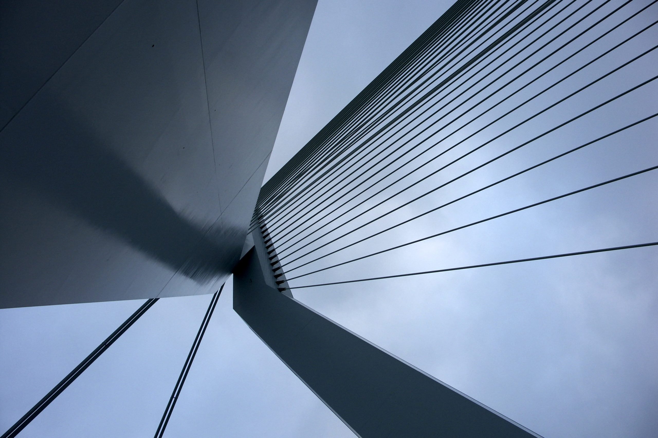 low angle of suspension bridge