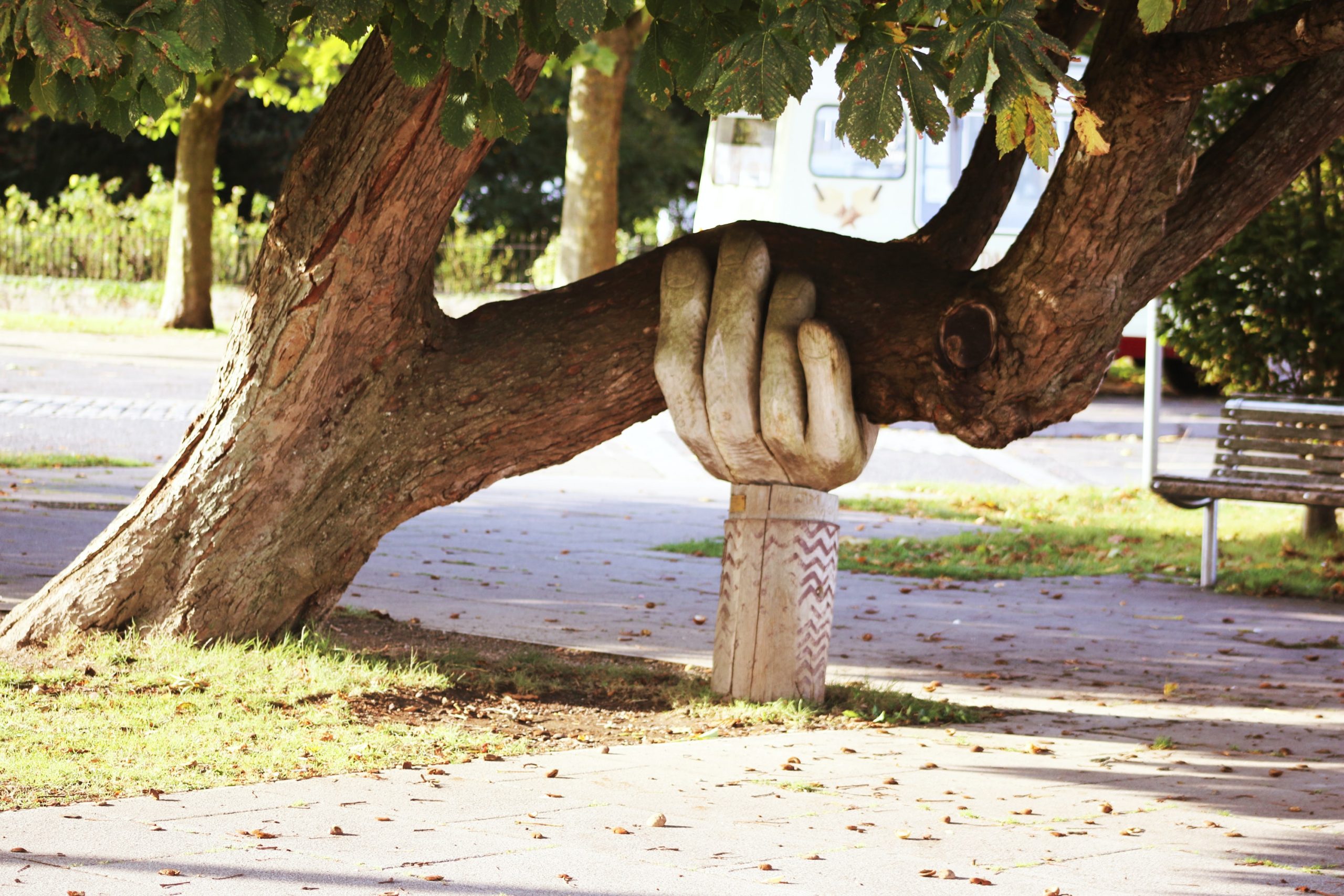 Wooden Hand Sculpture Holding Large Tree