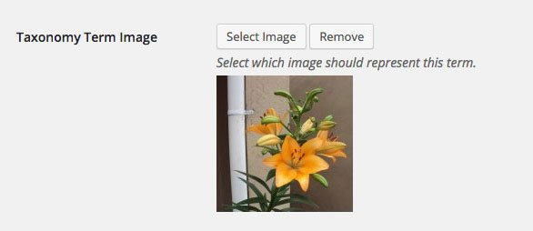taxonomy-term-image-screenshot